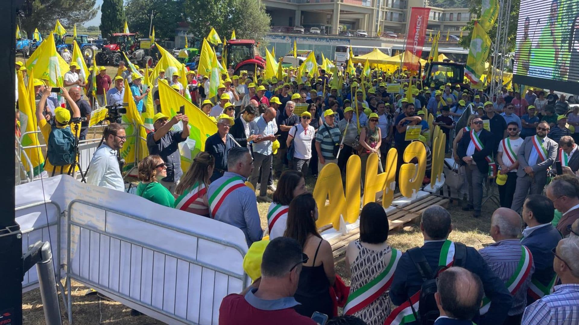 «L’emergenza cinghiali è fuori controllo»: Coldiretti Calabria lancia l'allarme