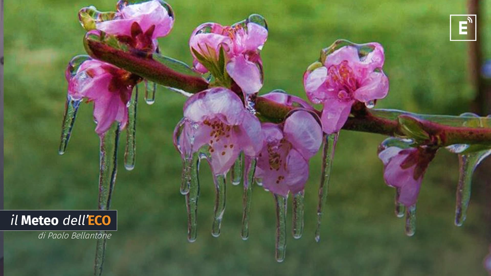 Equinozio di primavera, la Sibaritide ripiomba nell'inverno: la notte scorsa è stata la più fredda