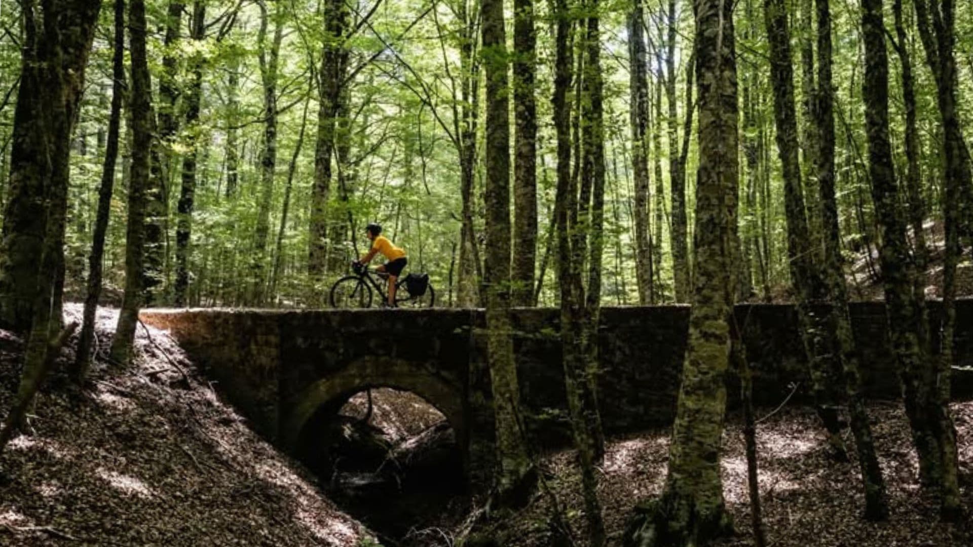 La Ciclovia dei Parchi della Calabria diventa la prima certificata EuroVelo in Italia