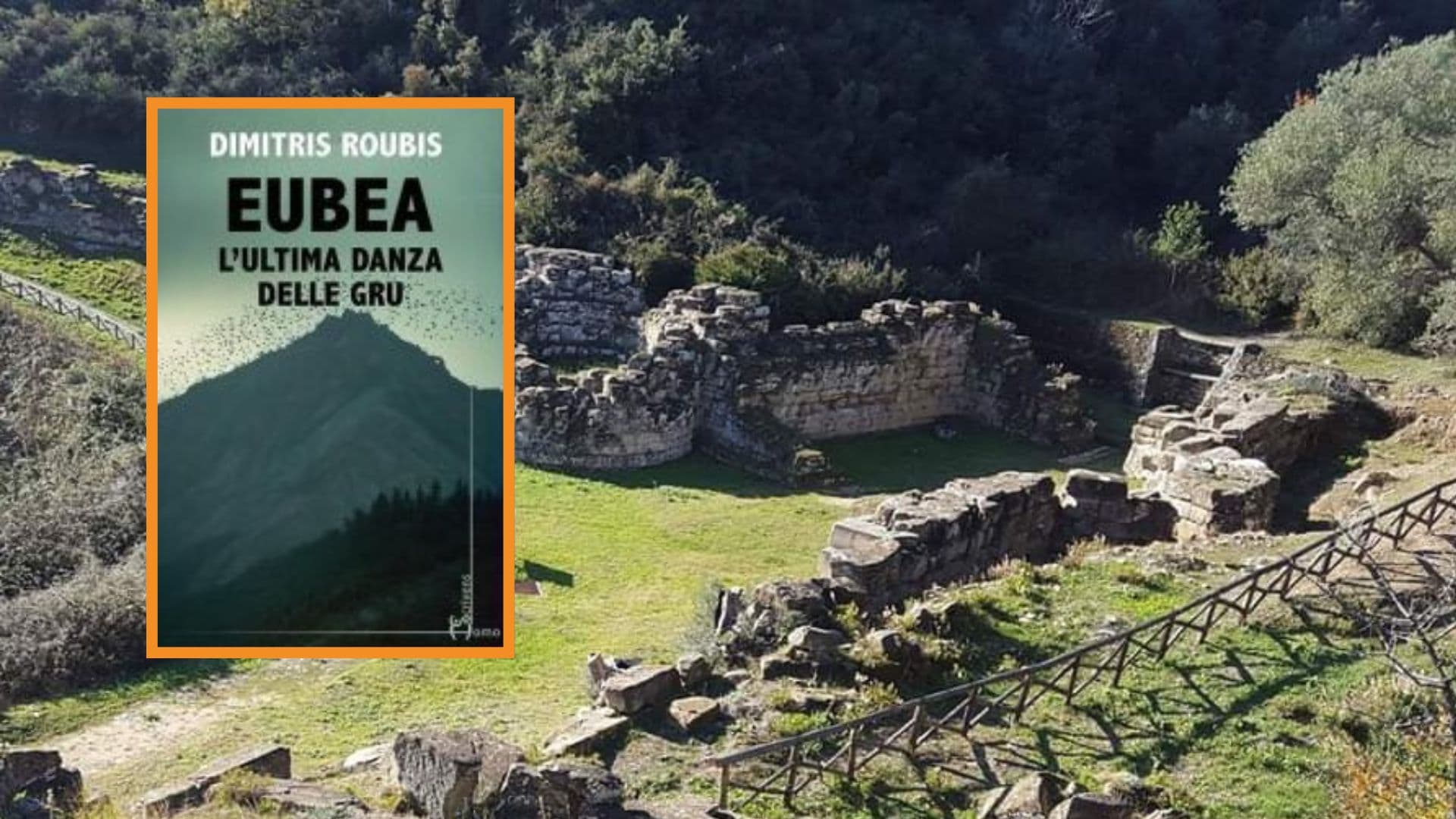A Paludi nasce Terra&Radici, il nuovo format culturale che parla di libri