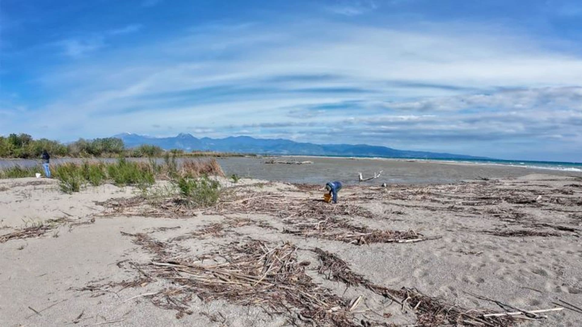 Riserve-Amici della Terra avvia l'attività di "Beach Litter" lungo la foce del Crati