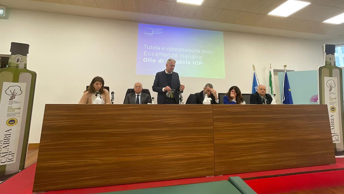 Consorzio Olio di Calabria Igp, presentata l'etichetta identificativa alla Cittadella regionale