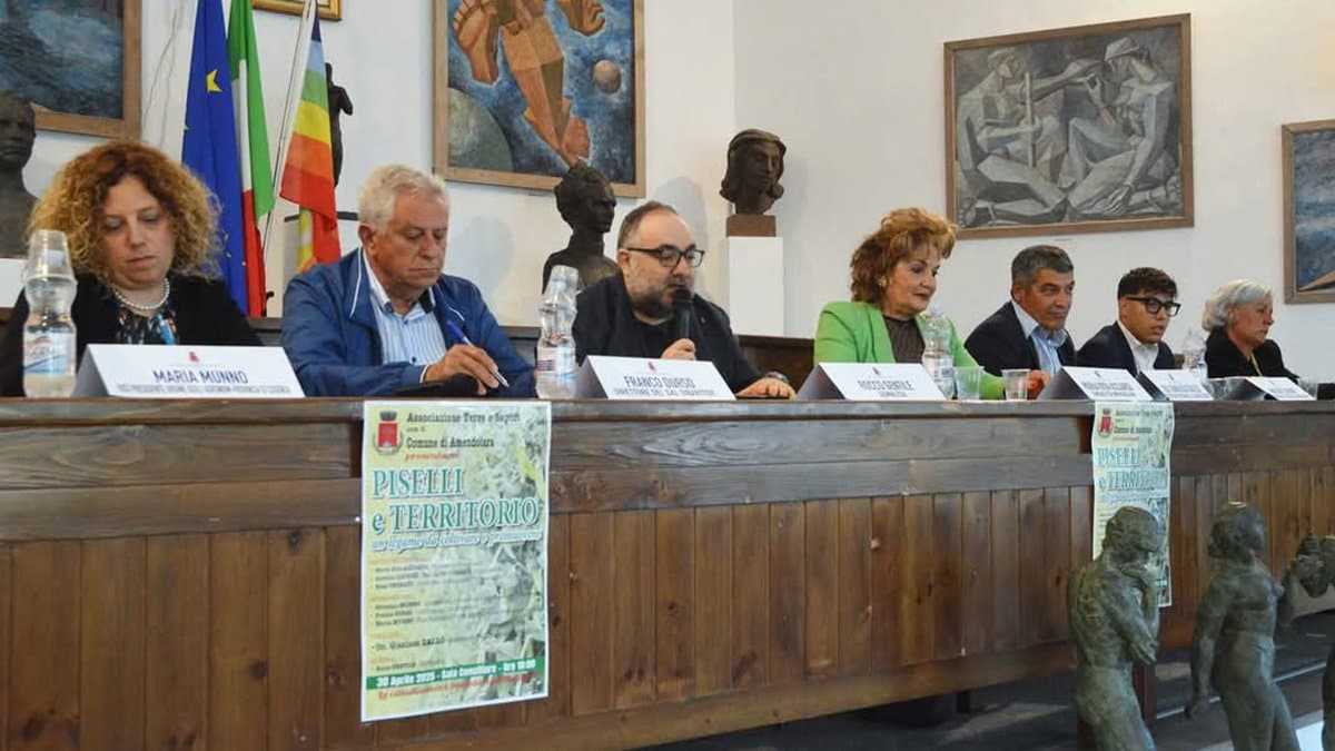 Presto potrebbe nascere il Pisello De.Co. di Amendolara