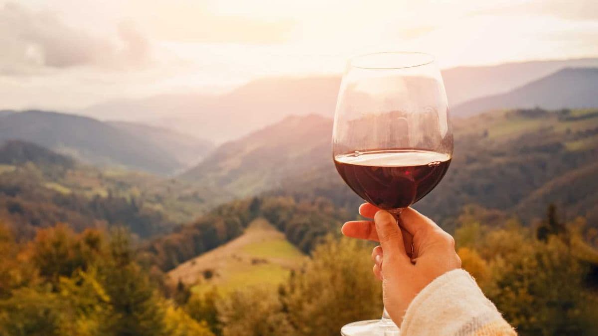 Anche il Parco del Pollino sarà protagonista del "Calabria Wine Design Festival"