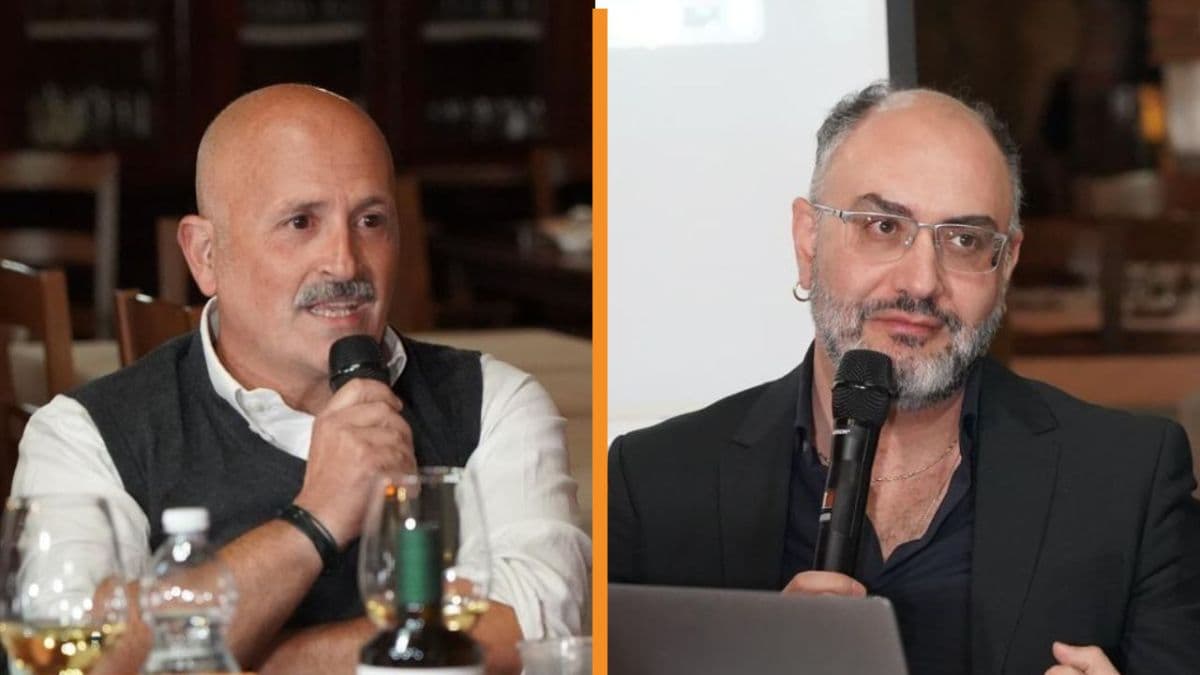 Nasce un nuovo Presidio Slow Food: l’Arancia Bionda Tardiva di Trebisacce