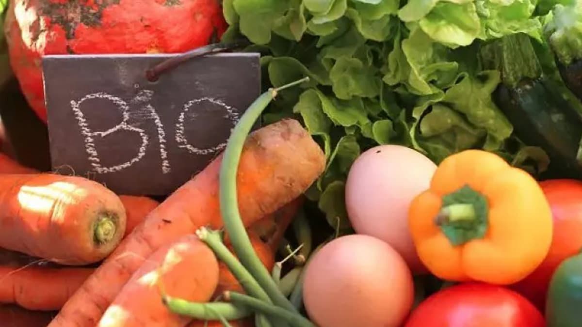 L'agricoltura calabrese è sempre più bio: Calabria seconda solo alla Toscana