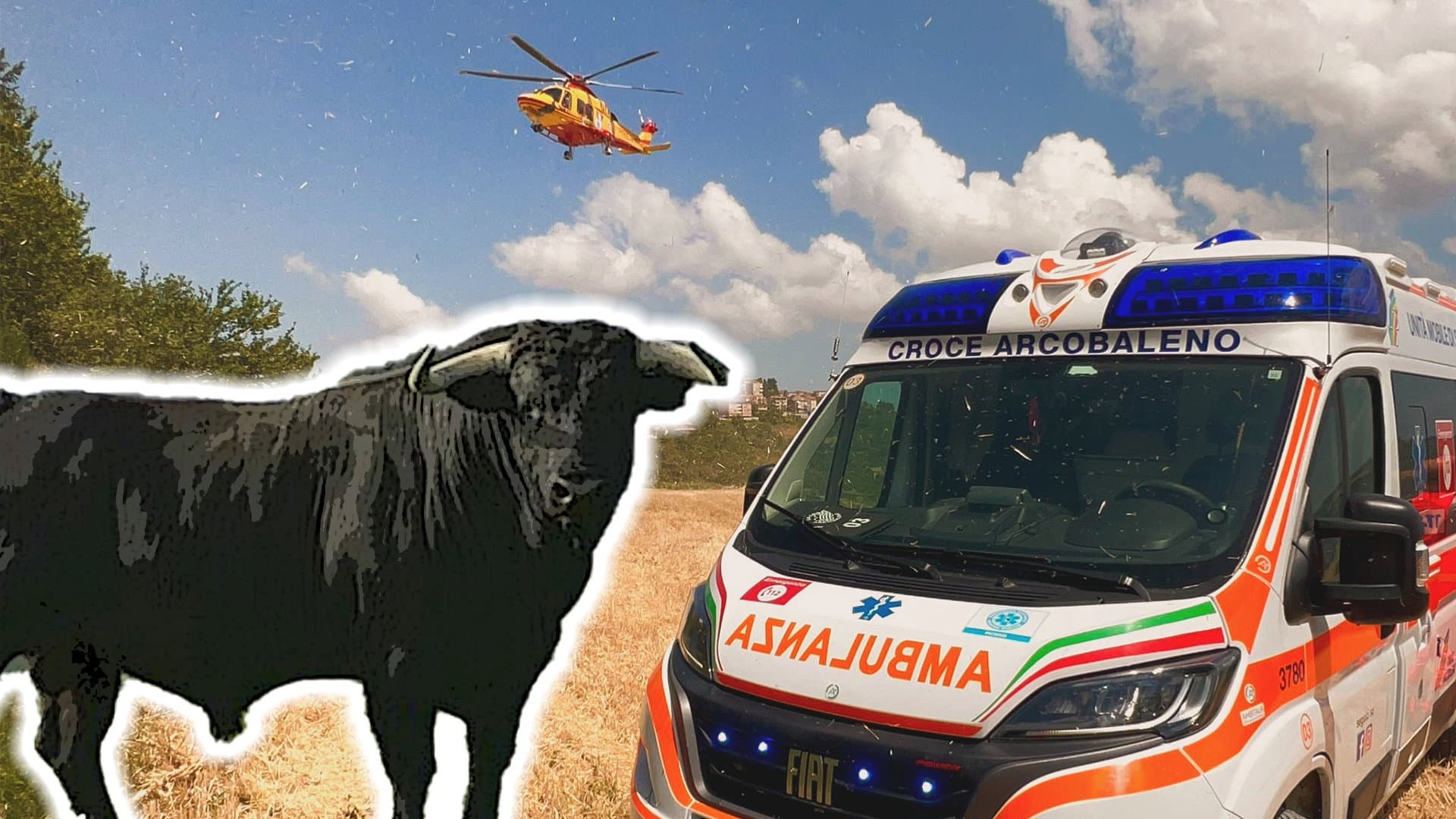Caricato da un toro, attimi di paura per un pastore di Corigliano-Rossano