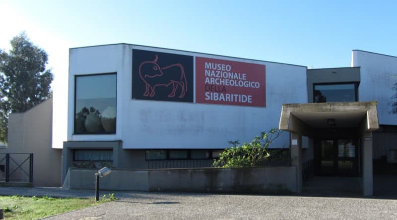 Il Museo della Sibaritide celebra la cultura dell'olio con "Linfa: essenze dalla terra"