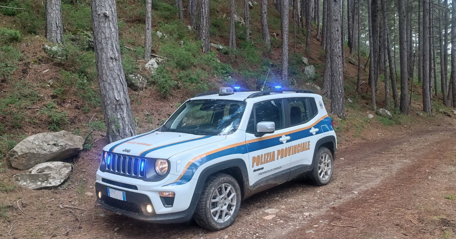Si perde nei boschi della Sila, ritrovato dalla Polizia Provinciale