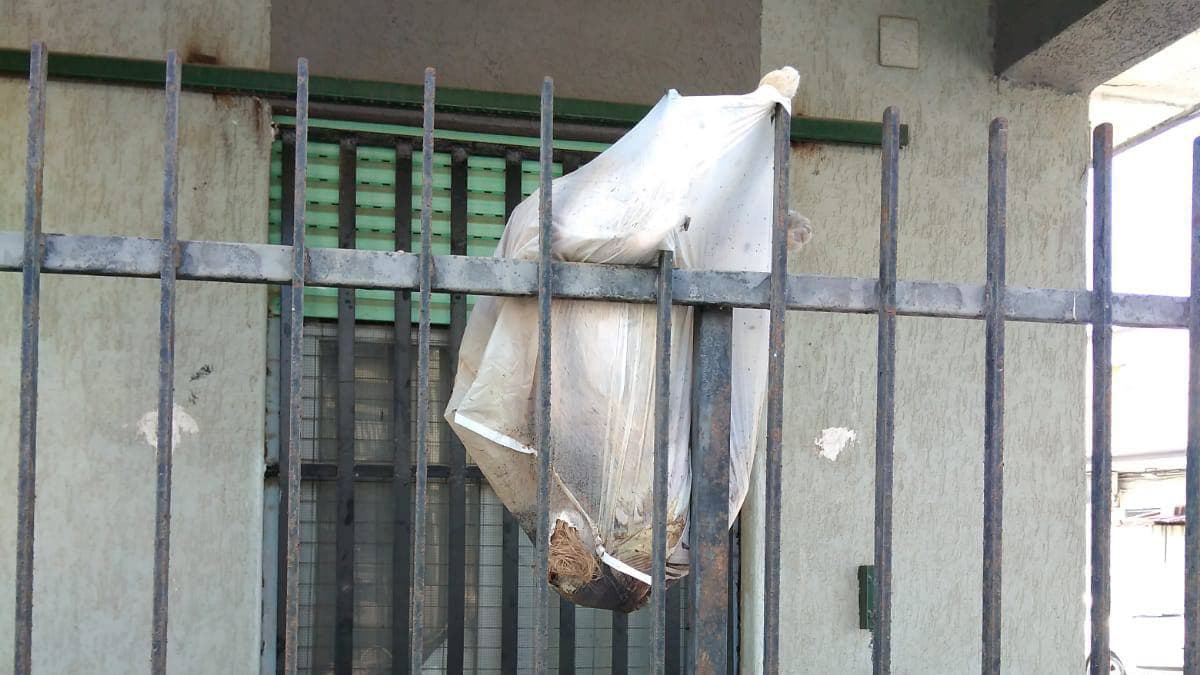 Orrore a Co-Ro, cadavere di un cagnolino appeso in una busta per strada