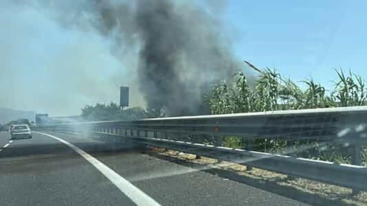 Villapiana, appicca fuoco sulla Statale 106: piromane colto in flagranza di reato
