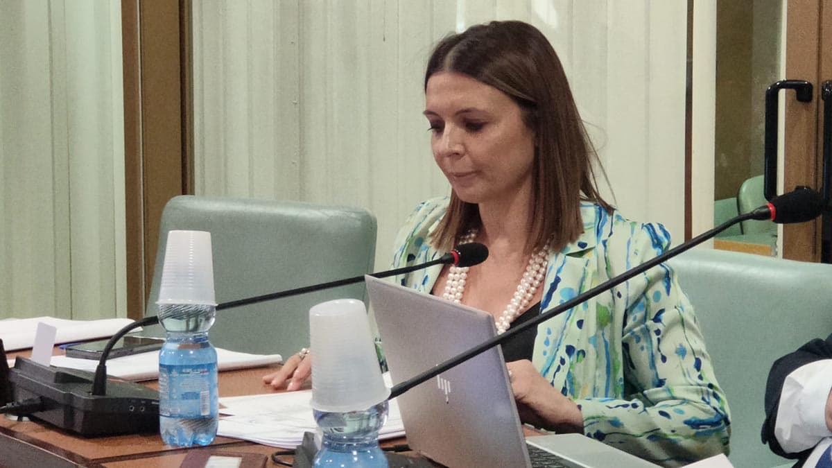 Sicurezza, Madeo: «Co-Ro non è il far west, ma doveroso affrontare il tema nel prossimo Consiglio comunale»