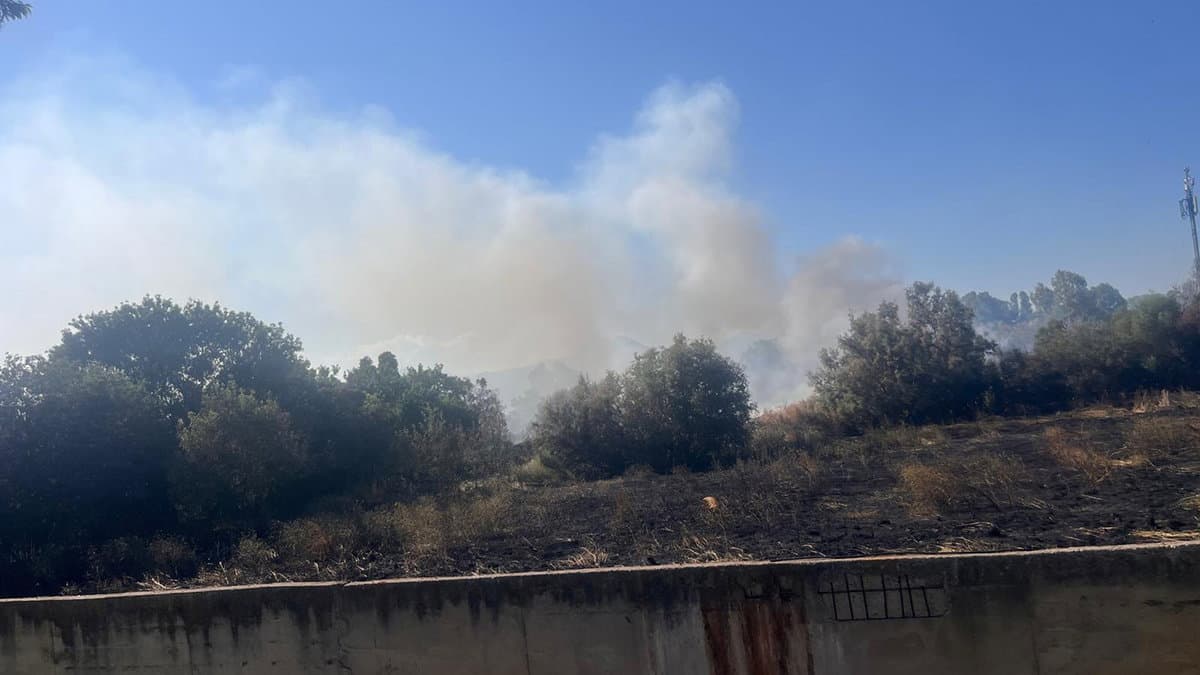 Vasto incendio a Marina di Sibari minaccia un centro turistico-residenziale