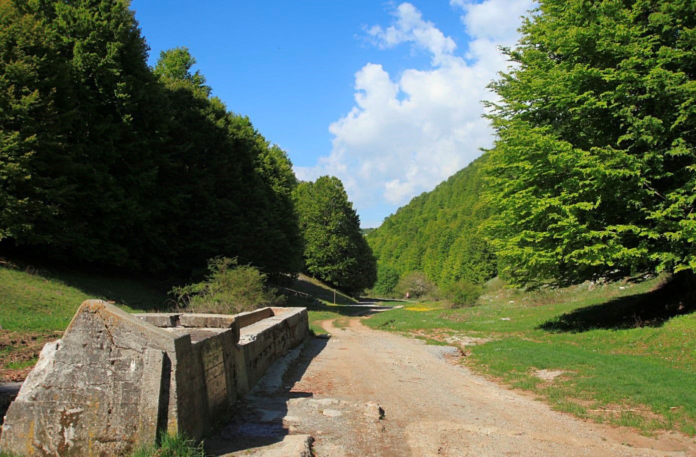 Saracena scala le vette del cicloturismo: la ciclovia di Novacco è realtà