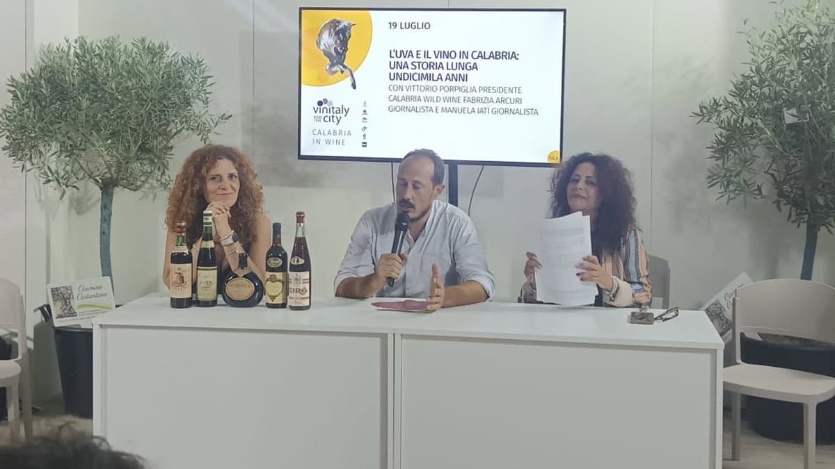 L'uva e il vino in Calabria, una storia lunga undicimila anni… tutta da scoprire