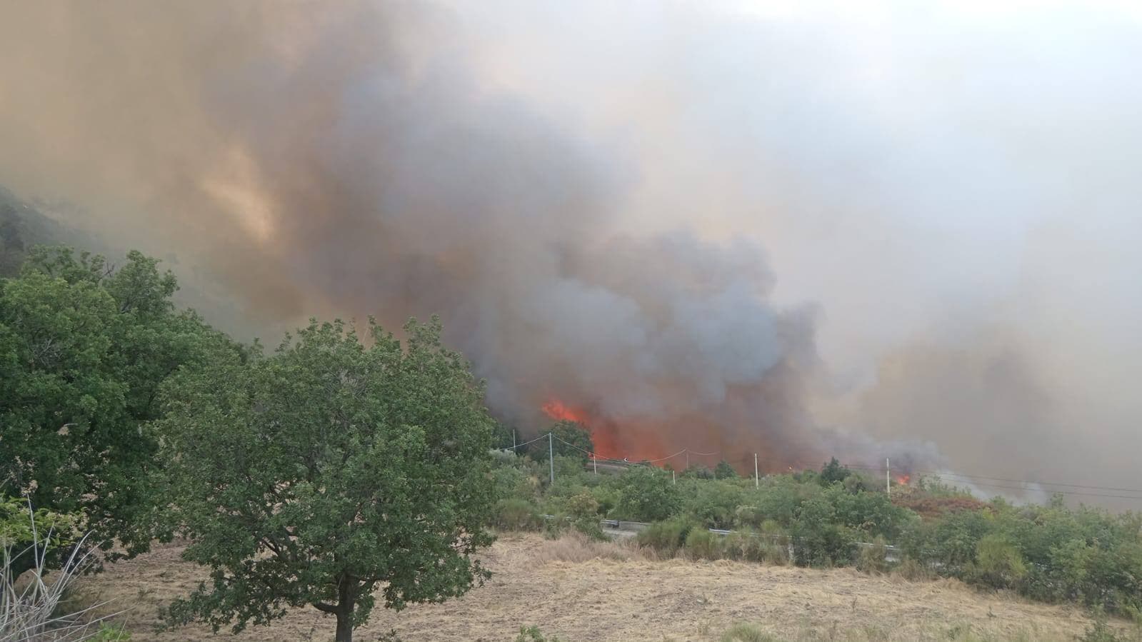 Immenso incendio tra Villapiana e Plataci: situazione critica