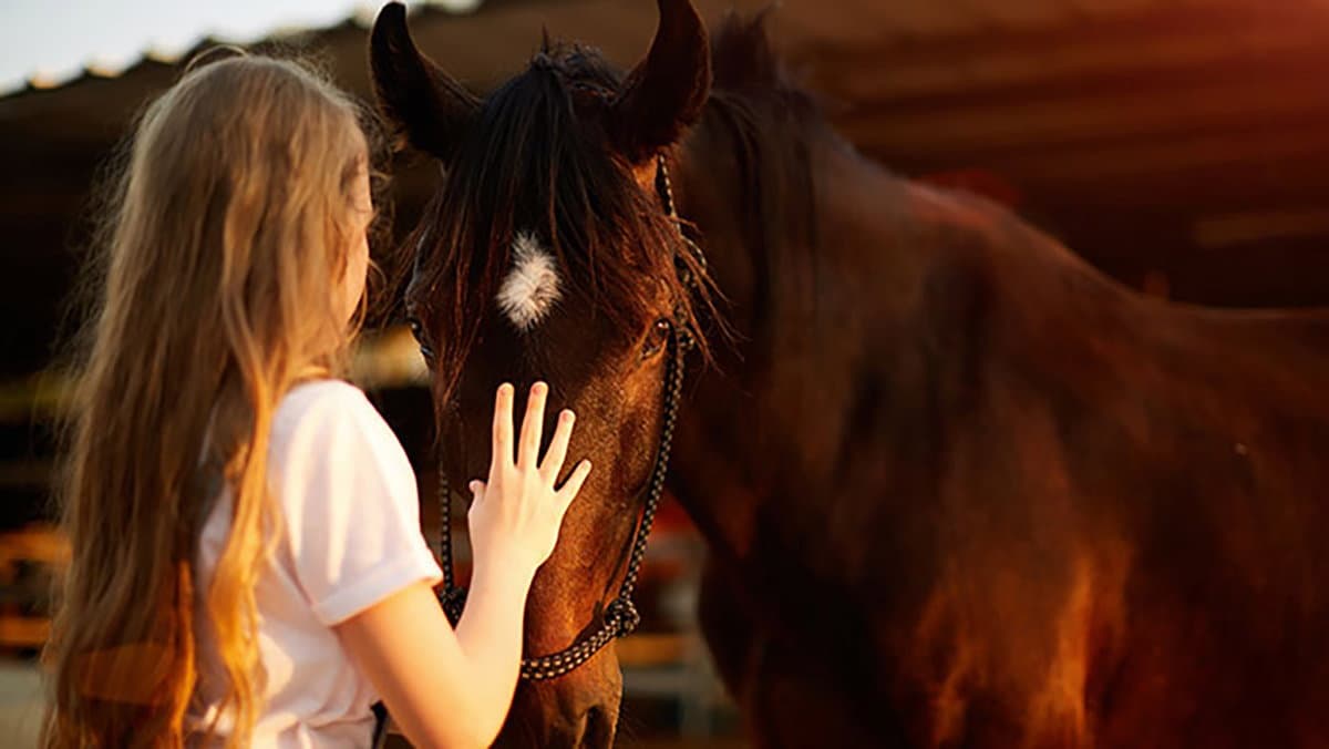 Autismo e inclusione, a Co-Ro concluso il progetto “Campo Oltre”