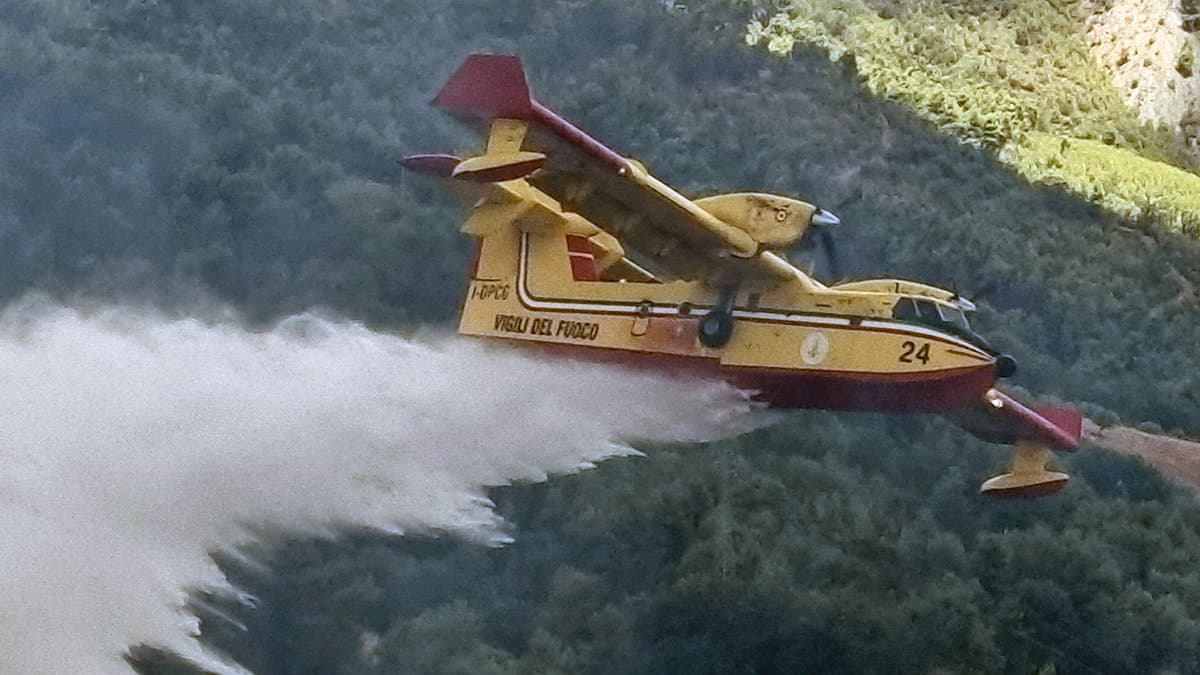 Plataci, ancora in fiamme il Pollino: in azione tre canadair