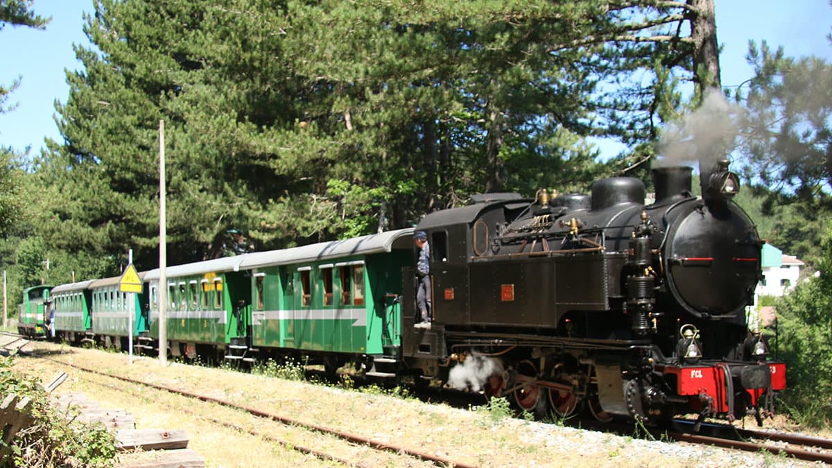 Treno della Sila, ad agosto previste più corse per vivere un'esperienza unica
