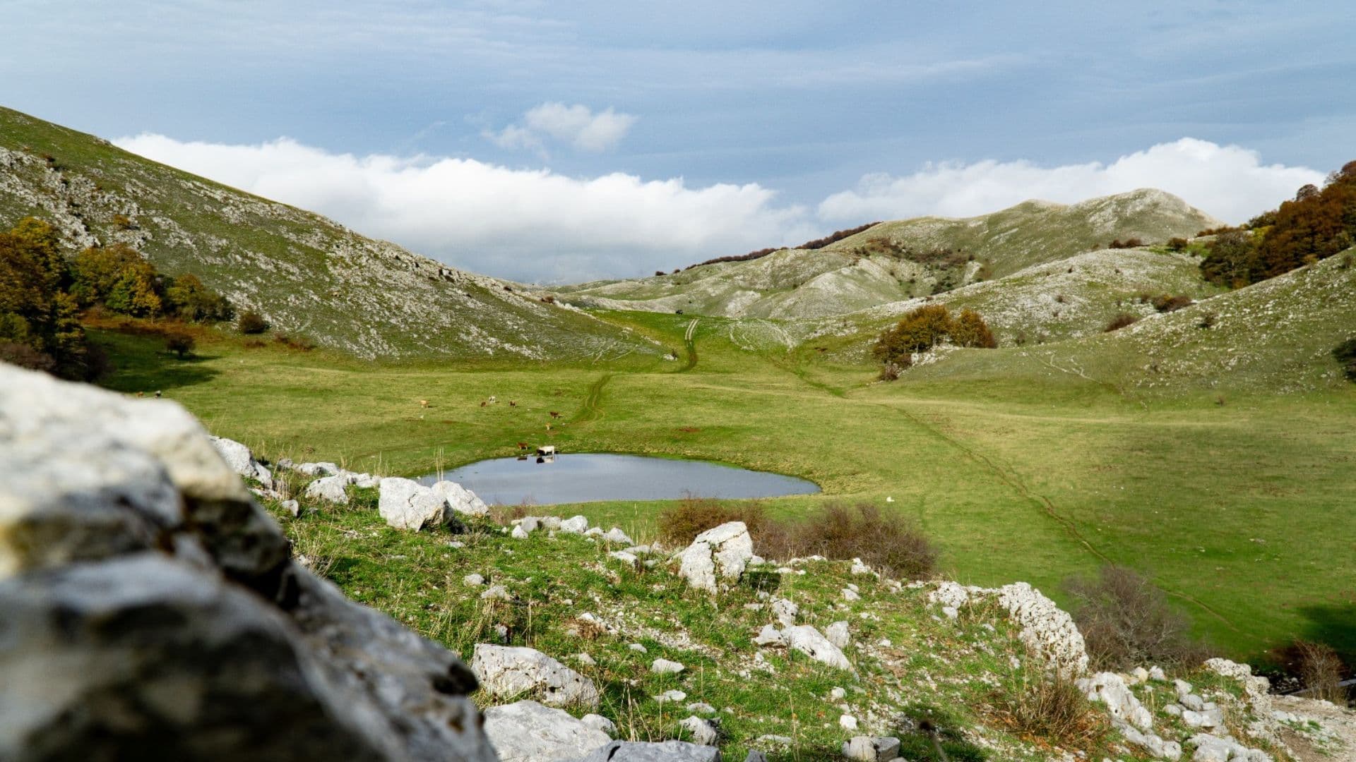 Saracena celebra la sua montagna con il Ferragosto tra le vette e i boschi millenari