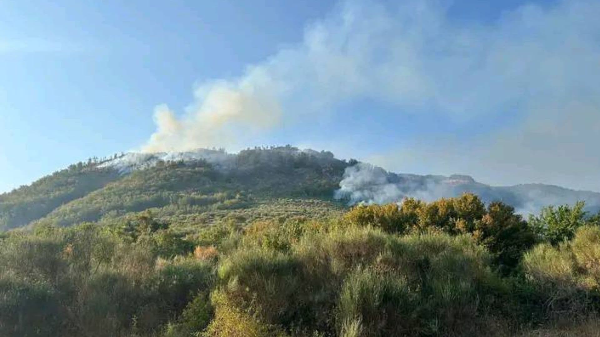Incendio a Mormanno: brucia il crinale del Montecerviero