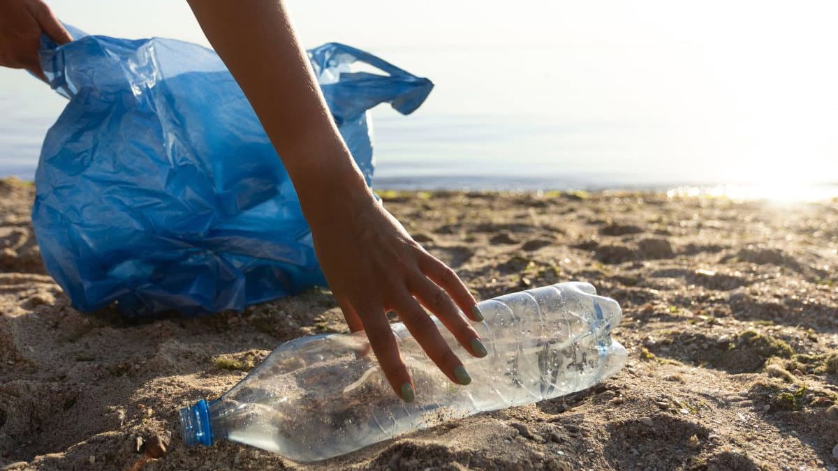 Ferragosto sostenibile, 7 azioni concrete per festeggiare rispettando l'ambiente