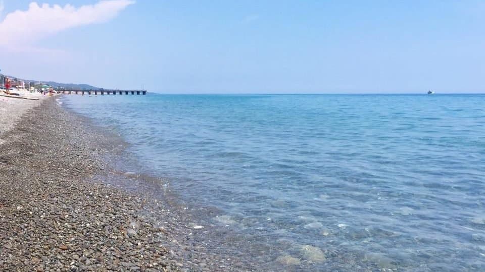 Trebisacce, rimossa la carcassa del delfino. Il sindaco Mundo: «Attivate subito le procedure»
