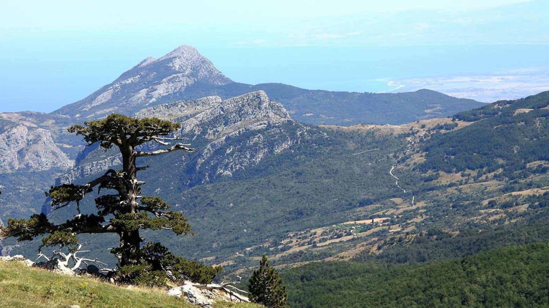 La montagna premia i suoi eroi: nasce il premio "Custodi del Pollino"