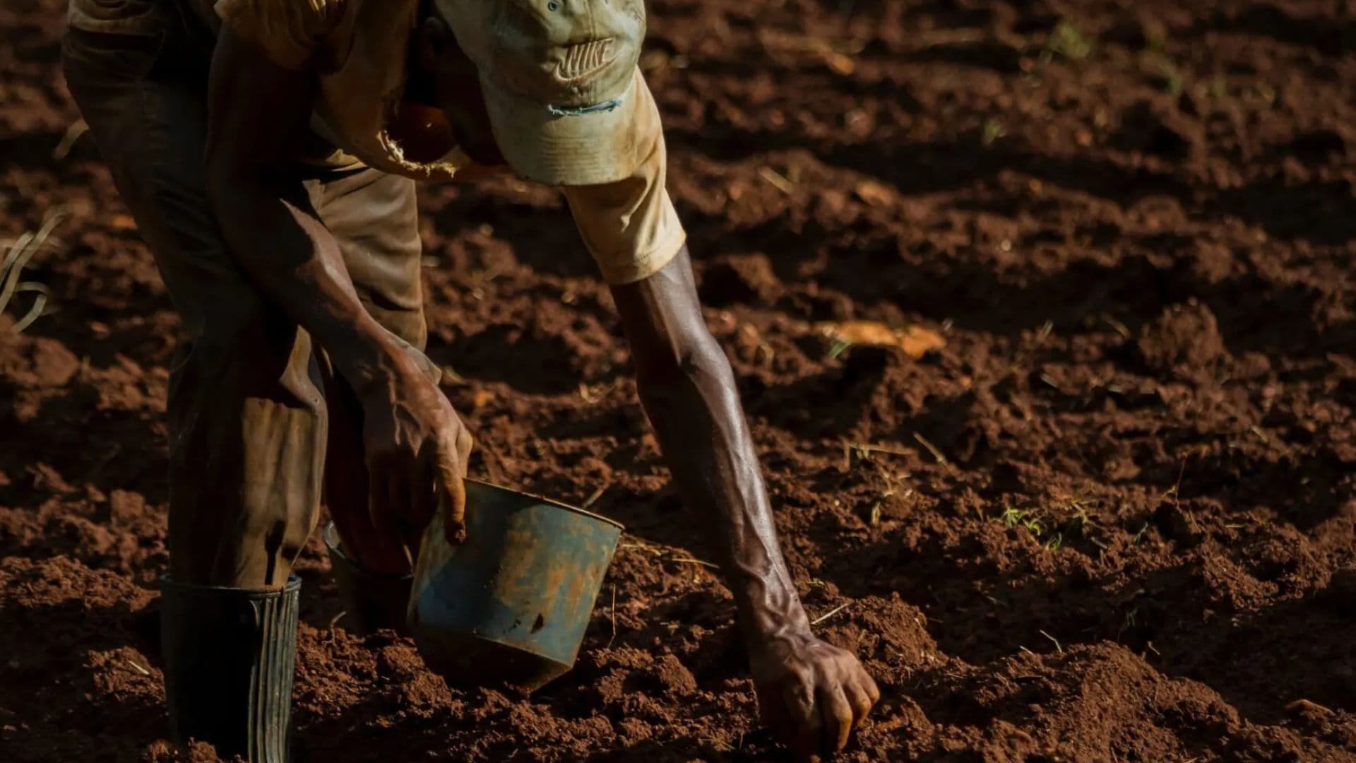 Caporalato e povertà: il prezzo umano del lavoro nei campi nella Sibaritide