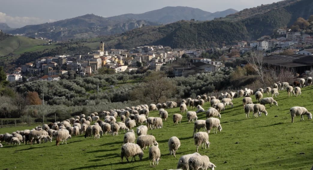 Paludi arriva su Rai 3: un documentario tra storia, tradizioni e vita quotidiana