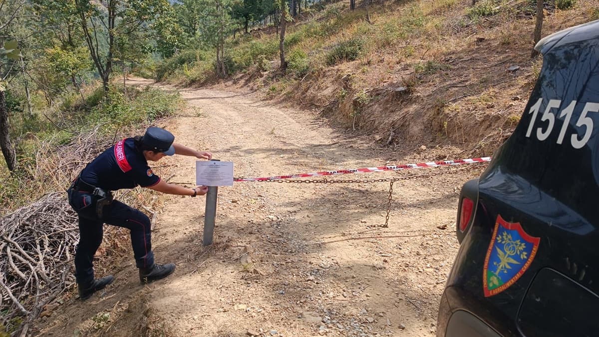 Longobucco, tagli abusivi a Paleparto: denunciata ditta e posti sotto sequestro dodici ettari di bosco
