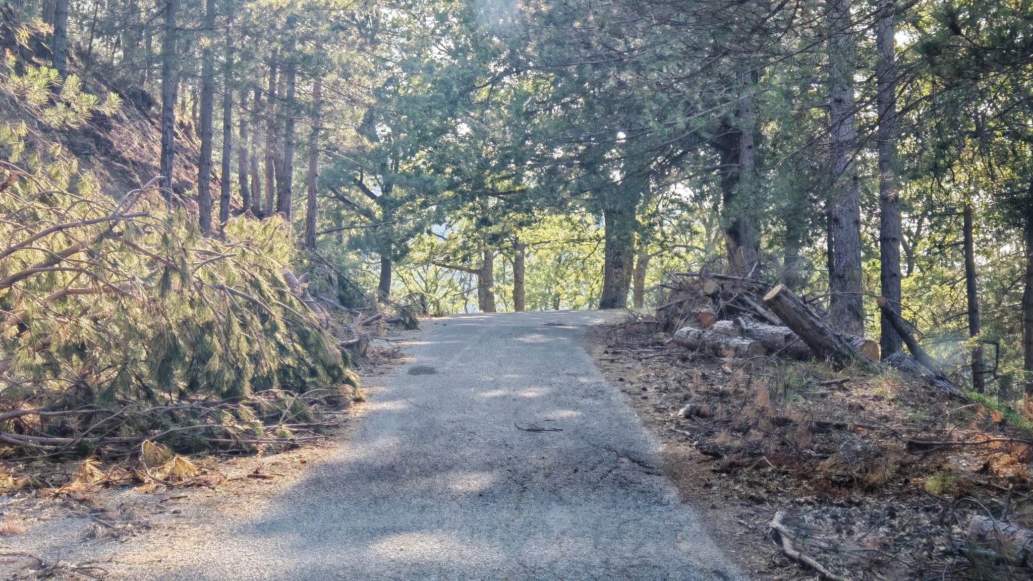 Viabilità, Tridico attacca Succurro: «Inaugura strade mulattiere e prende in giro i calabresi»