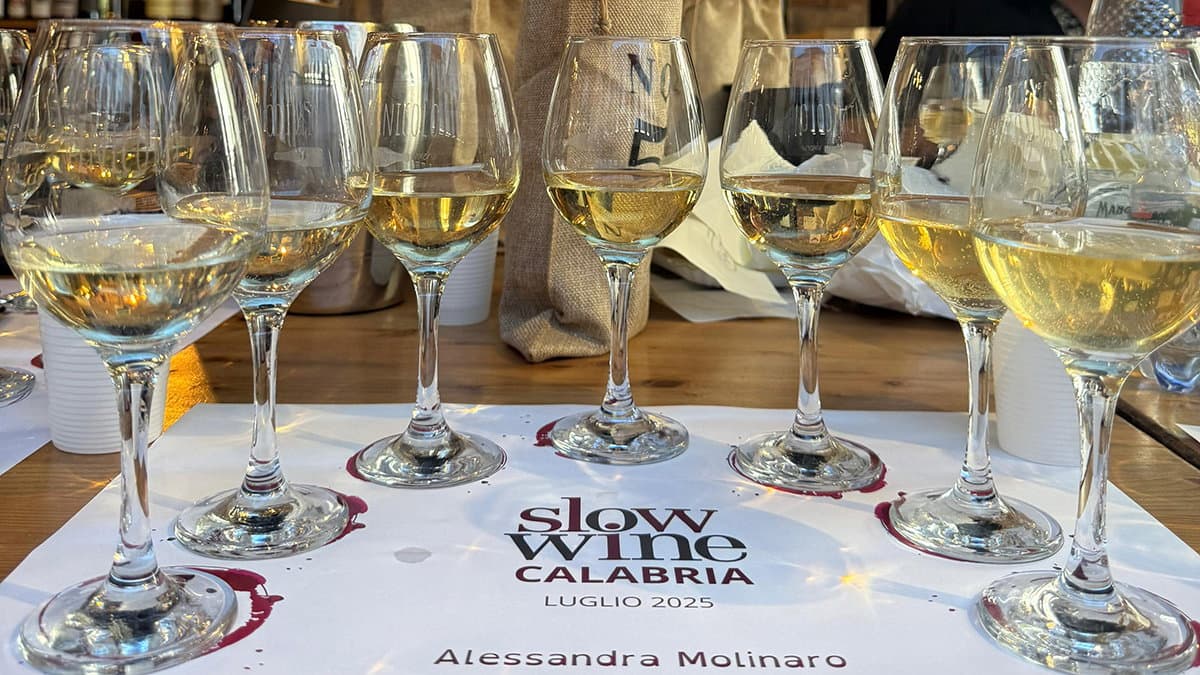 Ben 36 cantine calabresi nella "Slow Wine 2026"