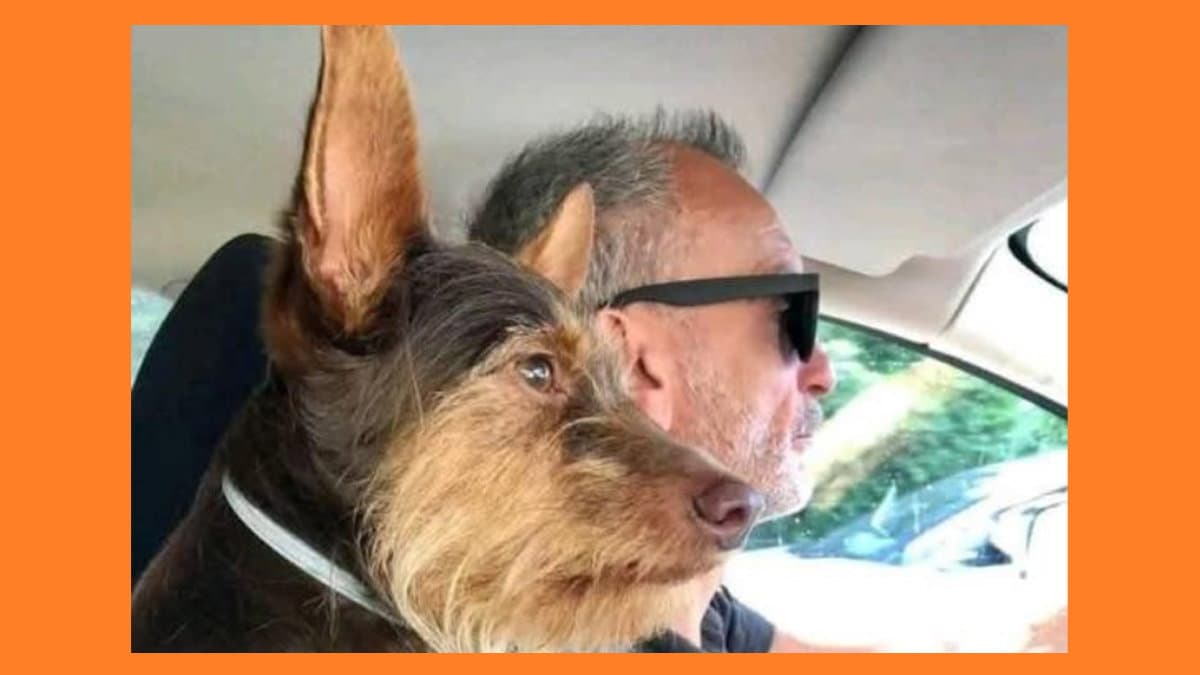 Giustizia per Antonio De Simone: Bucchieri accusato di omicidio stradale