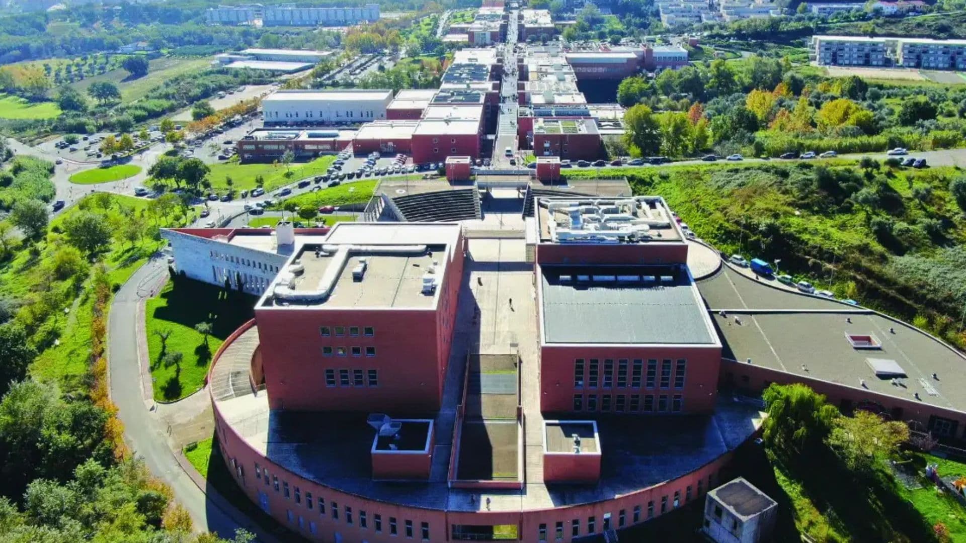 World University Rankings: l’Unical nella classifica delle migliori università al mondo