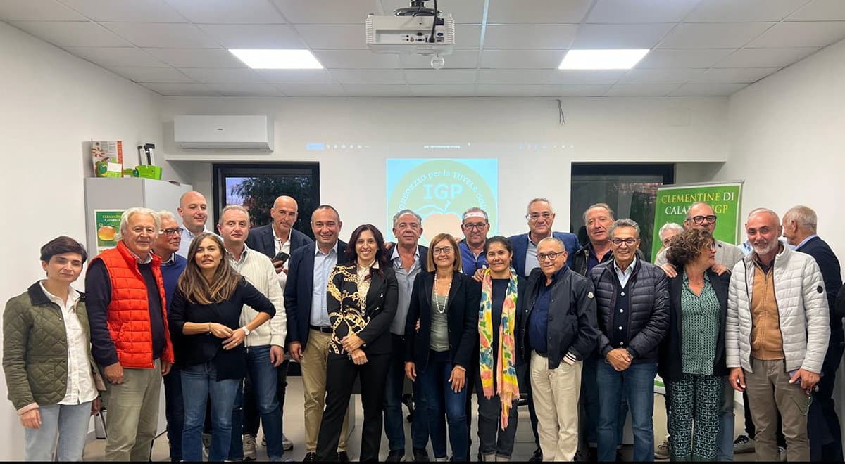 Maria Salimbeni è la nuova presidente del Consorzio Clementine di Calabria Igp