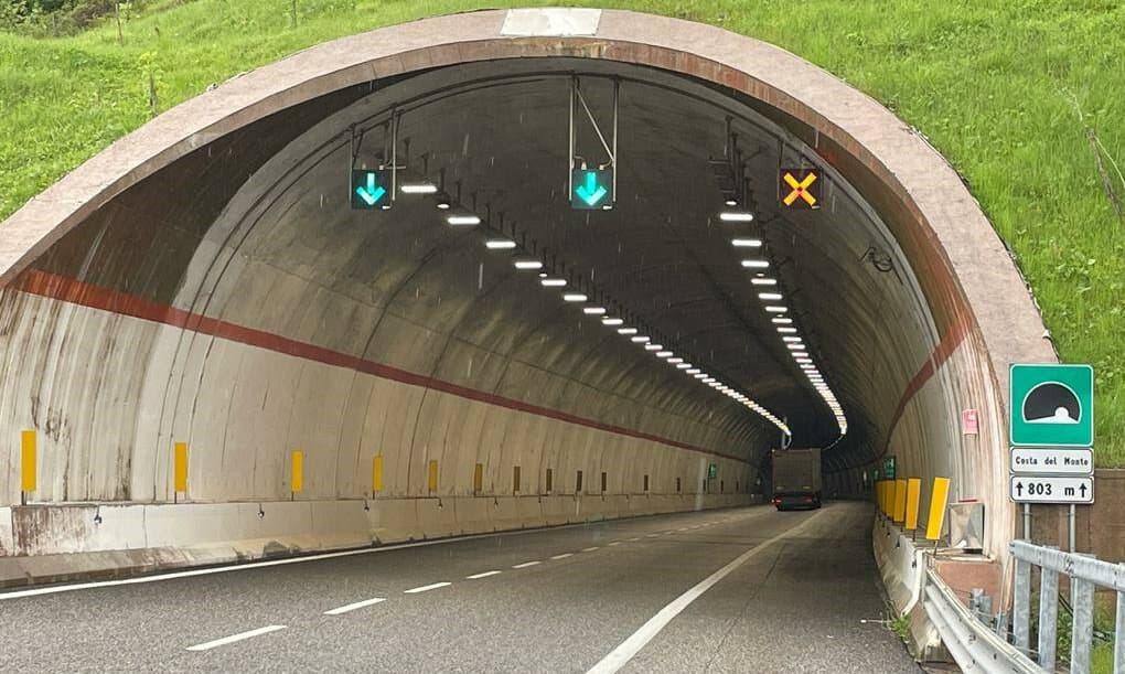 Cane in autostrada provoca incidente: ANAS condannata a risarcire i danni