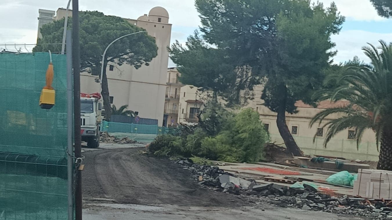A Schiavonea la polemica non si placa, il pino a terra e le strade labirinto