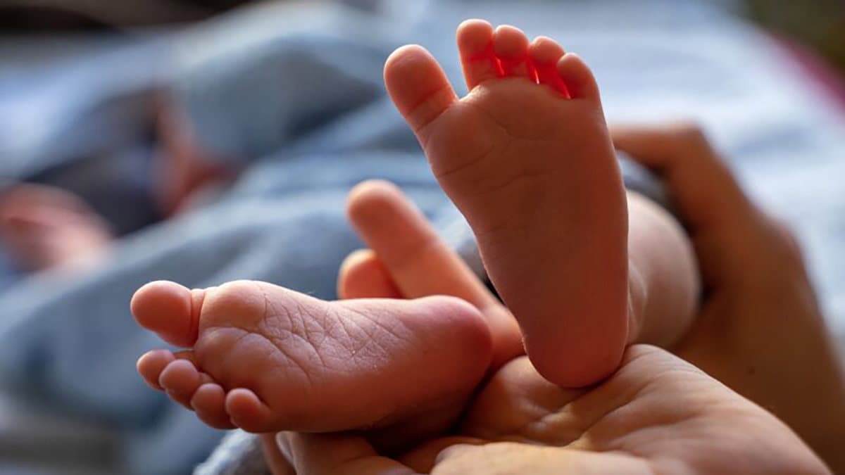 A Co-Ro l'evento "Trasmettere la vita, portare speranza al mondo: giovani e donne in cammino"