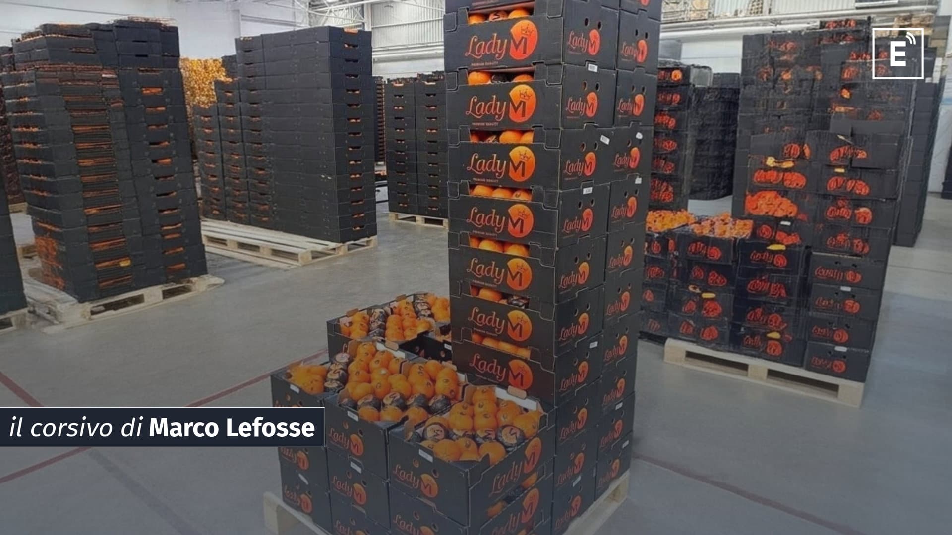 Mentre qui festeggiamo, da Casablanca partono gli aerei cargo di “simil-clementine”