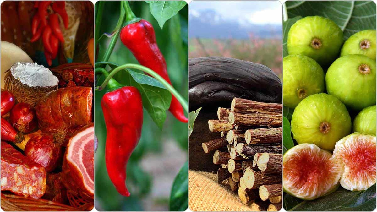 Gli studenti del “Da Vinci” di Castrovillari ambasciatori del gusto: al via seminari sui prodotti IGP della Calabria