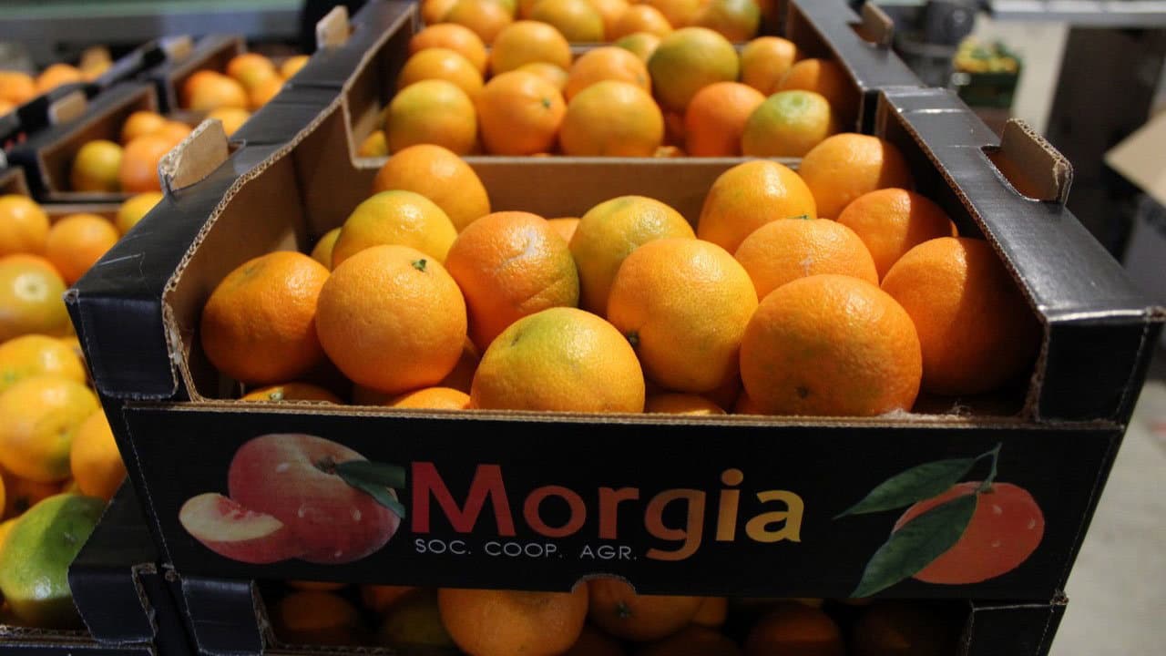 La festa non basta, servono infrastrutture per far diventare Sibari il cuore dell’agroalimentare del Sud