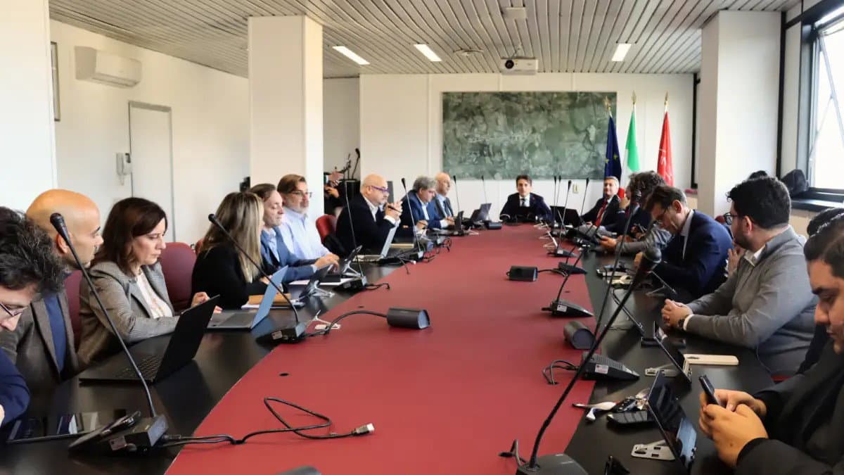 Unical, si insedia il Senato accademico: al via una nuova fase di dialogo e rinnovamento