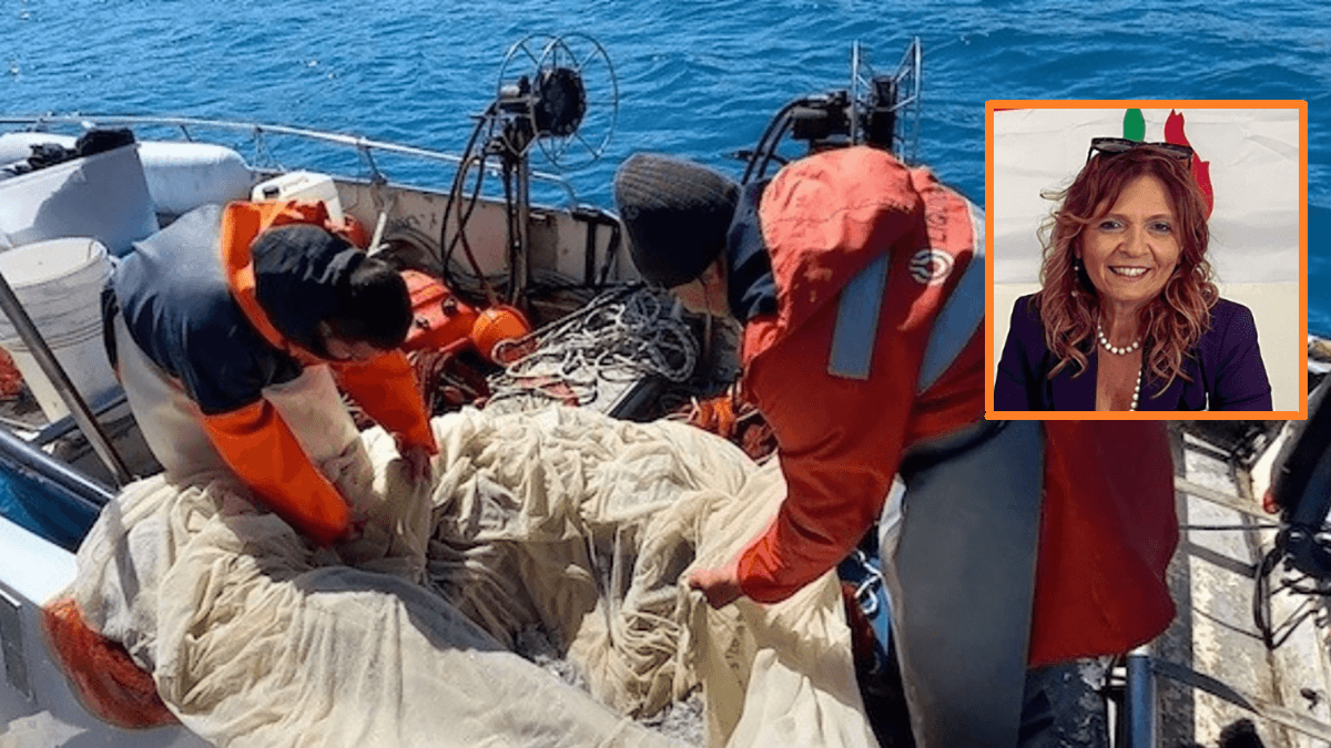 Mauro (FdI) attacca il Comune di Co-Ro su porto, pesca e mercato ittico: «Incapacità totale»