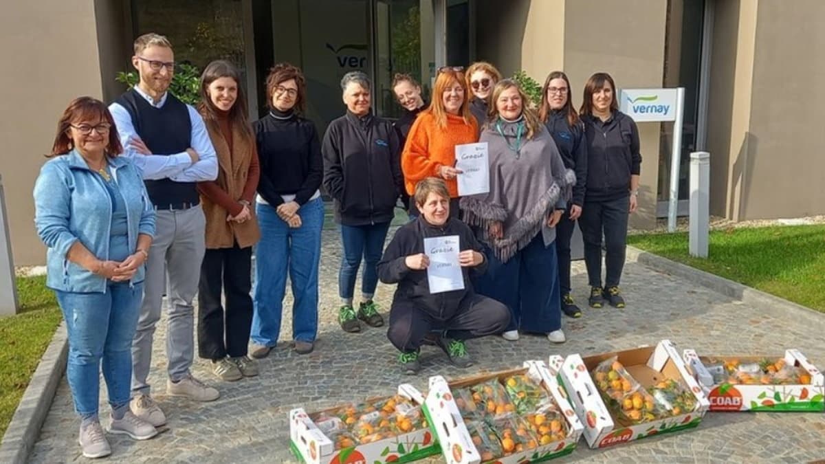 Da Co-Ro ad Asti, vanno a ruba le "clementine antiviolenza" in ricordo di Fabiana Luzzi