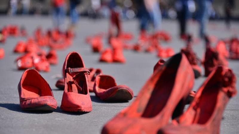 Saracena impegnata contro la Violenza di Genere: la cultura del rispetto si coltiva tra i banchi
