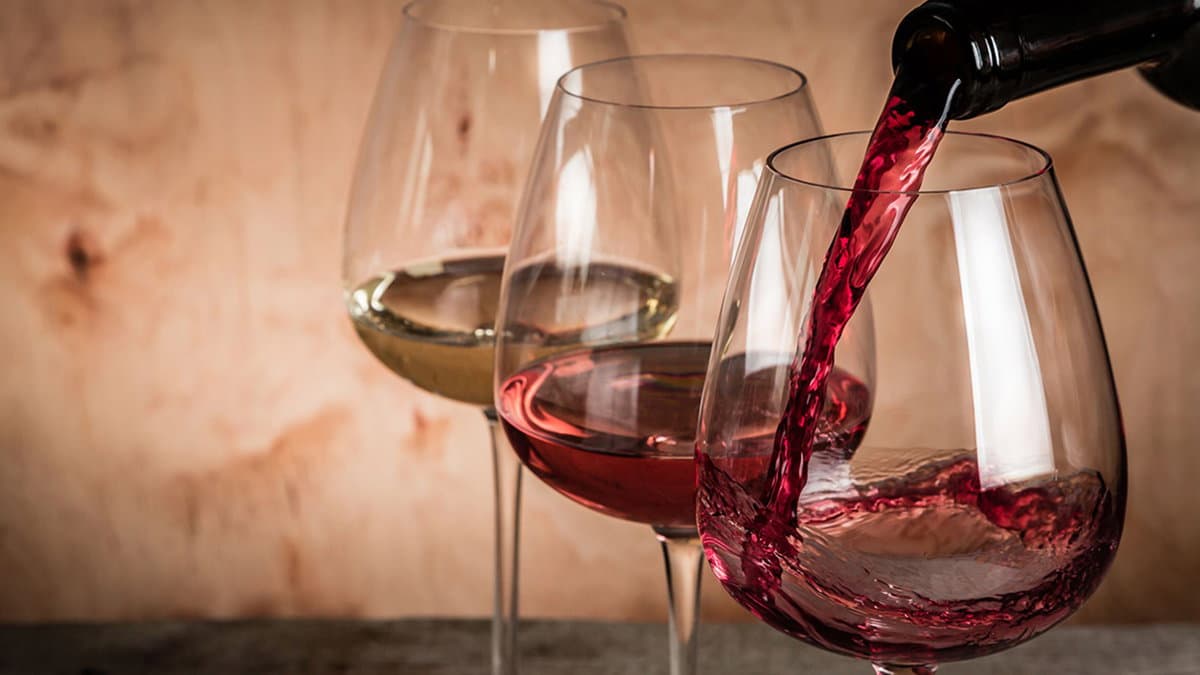 Tutto pronto a Mormanno per l'evento “Terra di Vigna. Calici nel Pollino”
