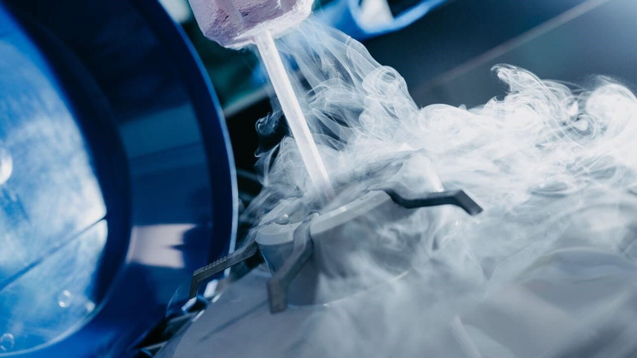 Uva sostiene la proposta di Madeo sul social freezing: «È un’emergenza. Servono strumenti e visione»