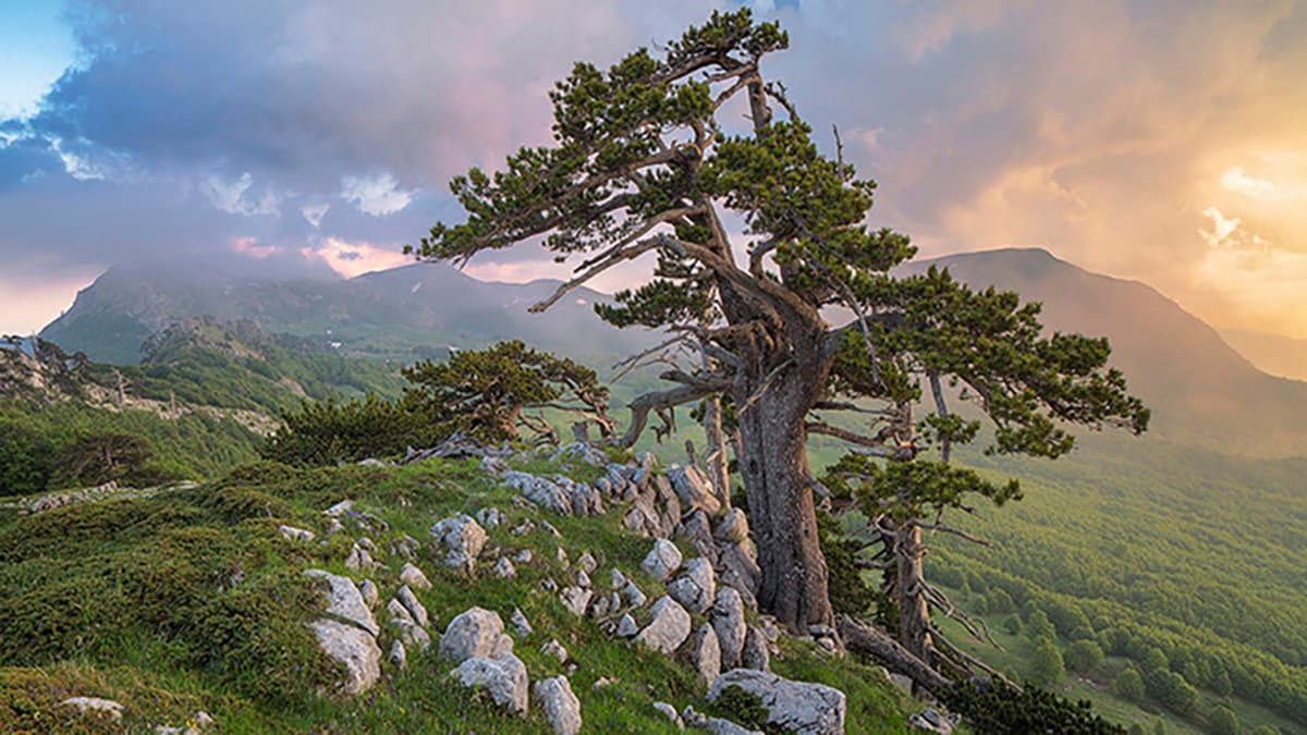 Contestata l'idea della funivia sul Pollino: «Significa essere nemici del Parco»