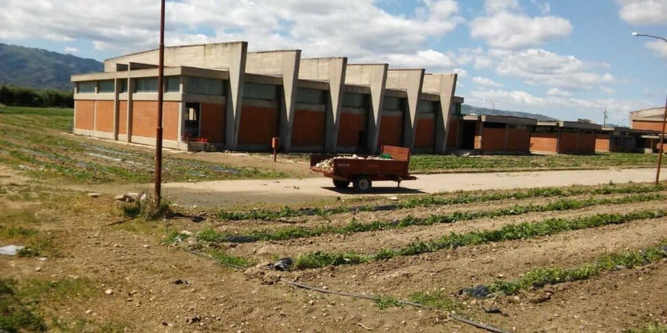 Insiti, il rendering del parco urbano riaccende lo scontro politico: ma li non si doveva creare la cittadella degli uffici?